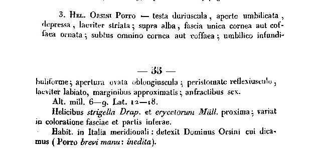 Alla ricerca della Monacha orsinii (Villa & Villa, 1841)